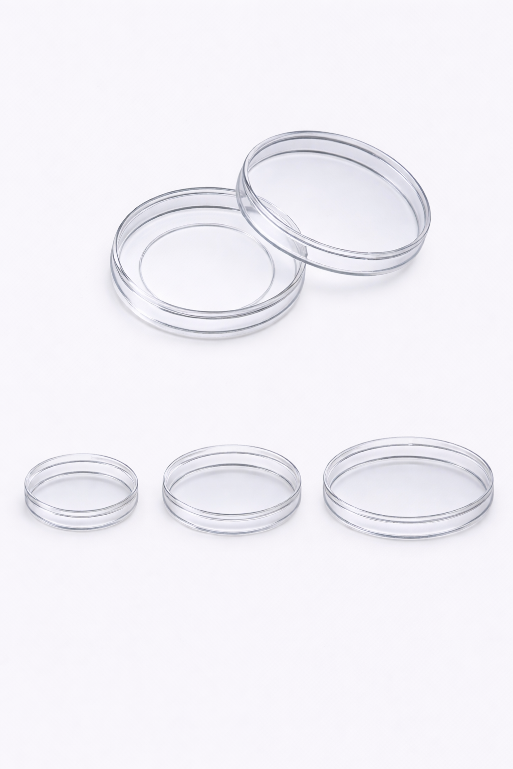Cell Culture & Petri Dishes