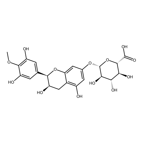 4'-Methyl-epigallocatechin-7-glucuronide