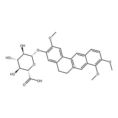 Jatrorrhizine o-glucuronide