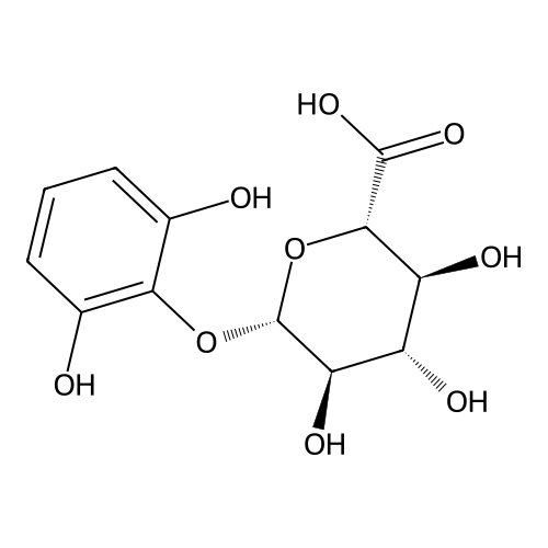 Pyrogallol-2-o-glucuronide