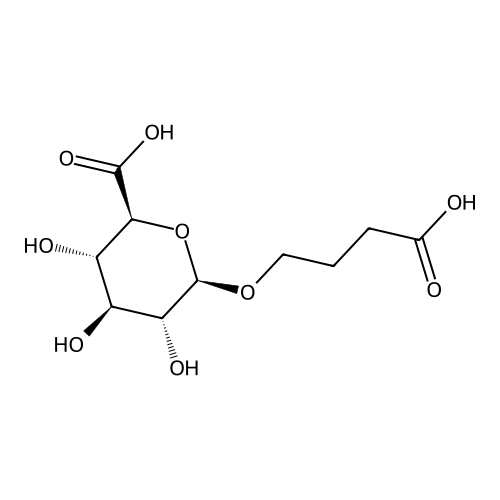 ?-Hydroxybutyric Acid Glucuronide