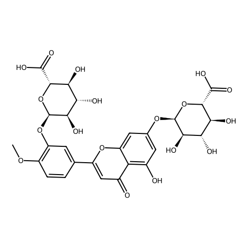 "Diosmetin 3,7-Diglucuronide"