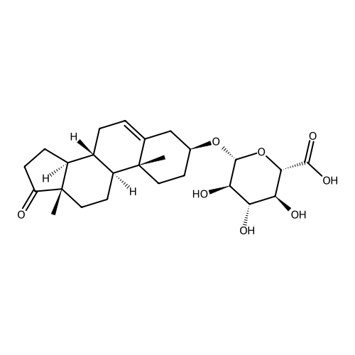 Dehydroepiandrosterone 3-Glucuronide
