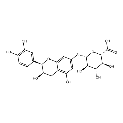 Epicatechin-7-glucuronide