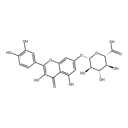 Quercetin 7-glucuronide