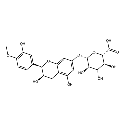 4'-Methylepicatechin-7-glucuronide