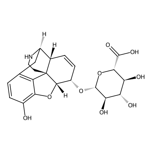 Normorphine-6-glucuronide