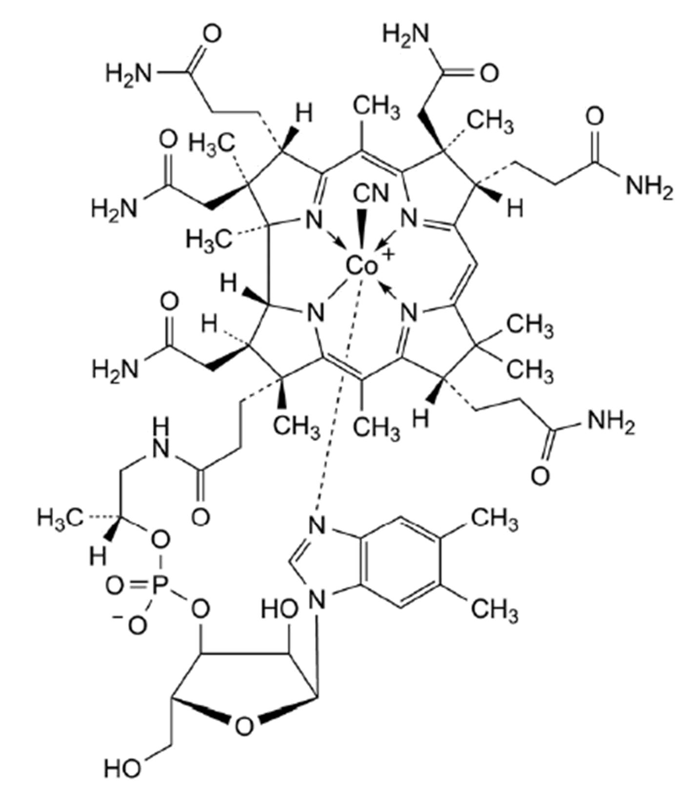 Cyanocobalamin (Vitamin B12)