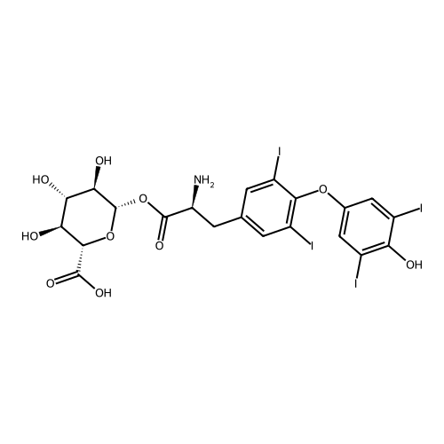Thyroxine Acyl-Beta-D-Glucuronide